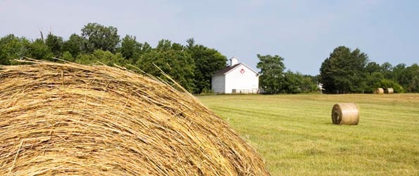 Careffree Acreage